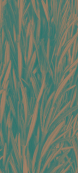 Texture Detail